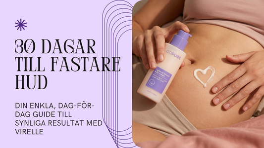 30 DAGAR TILL FASTARE HUD E-BOK